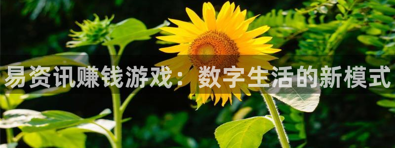 极悦娱乐线路测试：易资讯赚钱游戏：数字生活的新模式