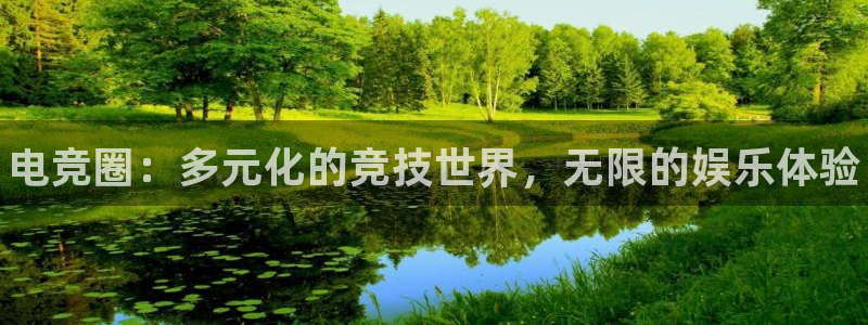极悦娱乐网址官网：电竞圈：多元化的竞技世界，无限的娱乐体验