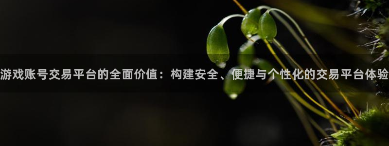 极悦娱乐代理登陆：游戏账号交易平台的全面价值：构建安全、便捷