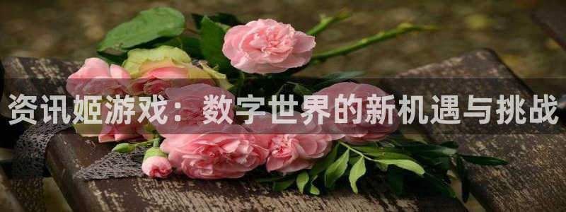 极悦娱乐的意思：资讯姬游戏：数字世界的新机遇与挑战