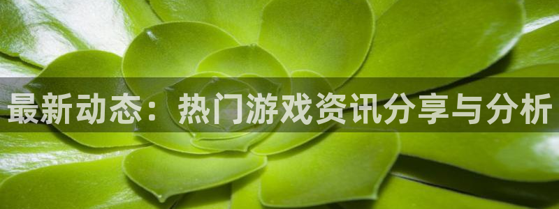 极悦娱乐平台登录：最新动态：热门游戏资讯分享与分析