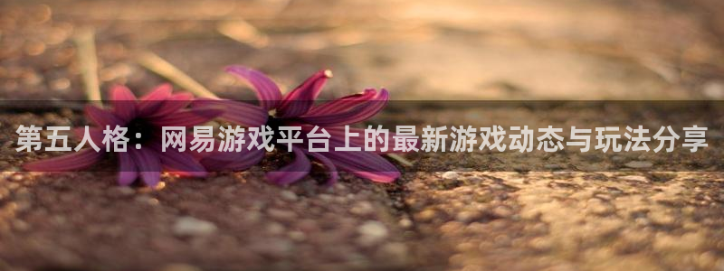 极悦娱乐注册网站：第五人格：网易游戏平台上的最新游戏动态与玩