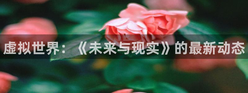 极悦娱乐在线登录：虚拟世界：《未来与现实》的最新动态