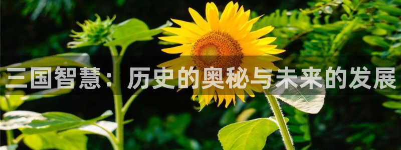 极悦娱乐网页版地址:三国智慧:历史的奥秘与未来的发展