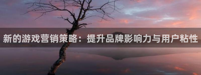 极悦娱乐登陆：新的游戏营销策略：提升品牌影响力与用户粘性