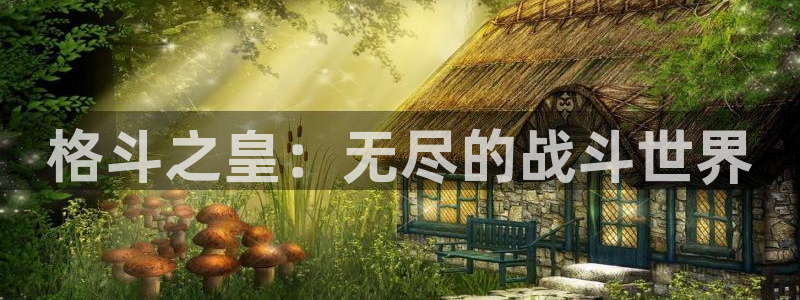 极悦娱乐开户测速：格斗之皇：无尽的战斗世界