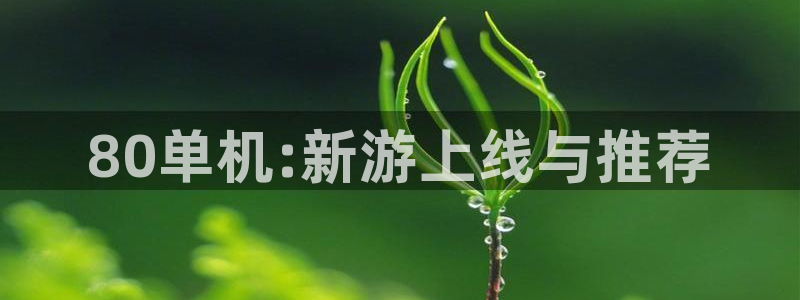 极悦娱乐app：80单机:新游上线与推荐